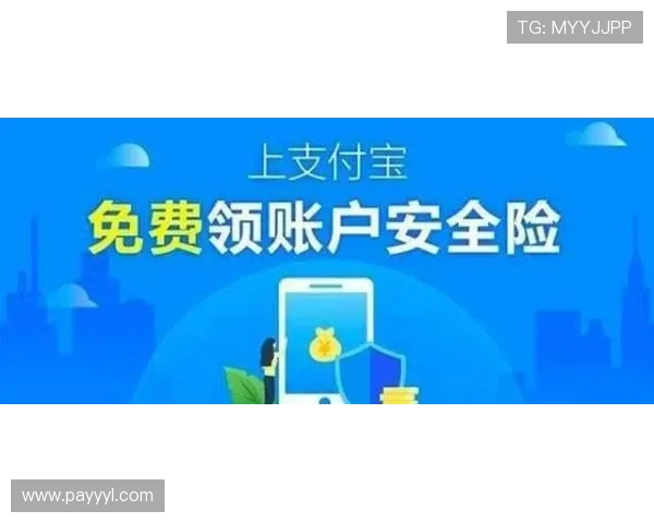 杏彩真人平台安全性分析保障玩家资金安全的关键措施
